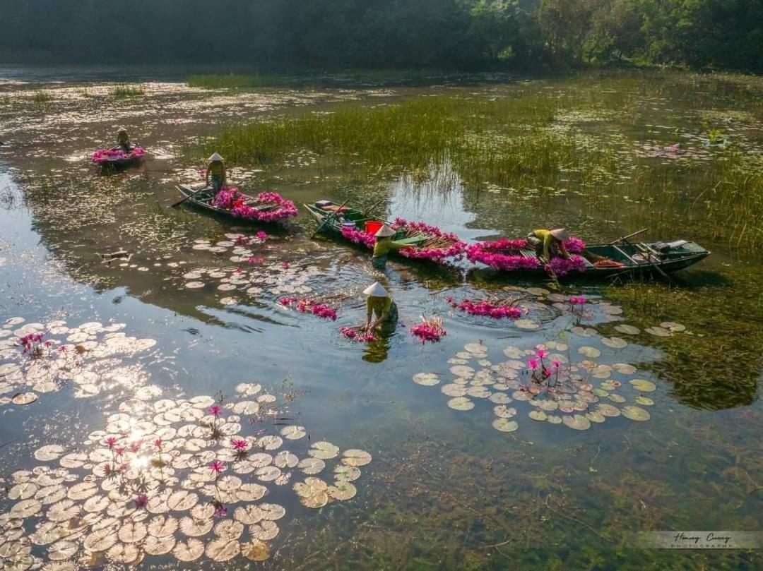 Tam Coc Paradise Homestay นิญบิ่ญ ภายนอก รูปภาพ